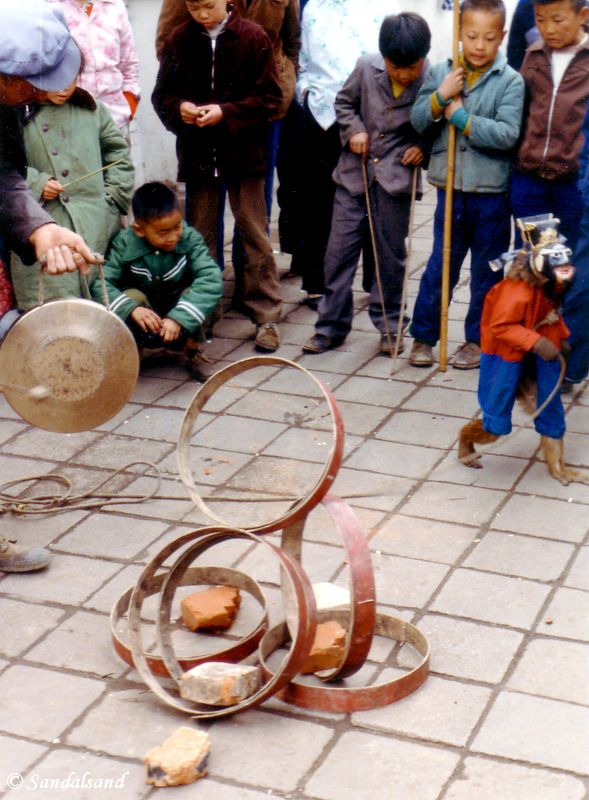 Kunming street view. Monkey entertainment. China - Kunming
