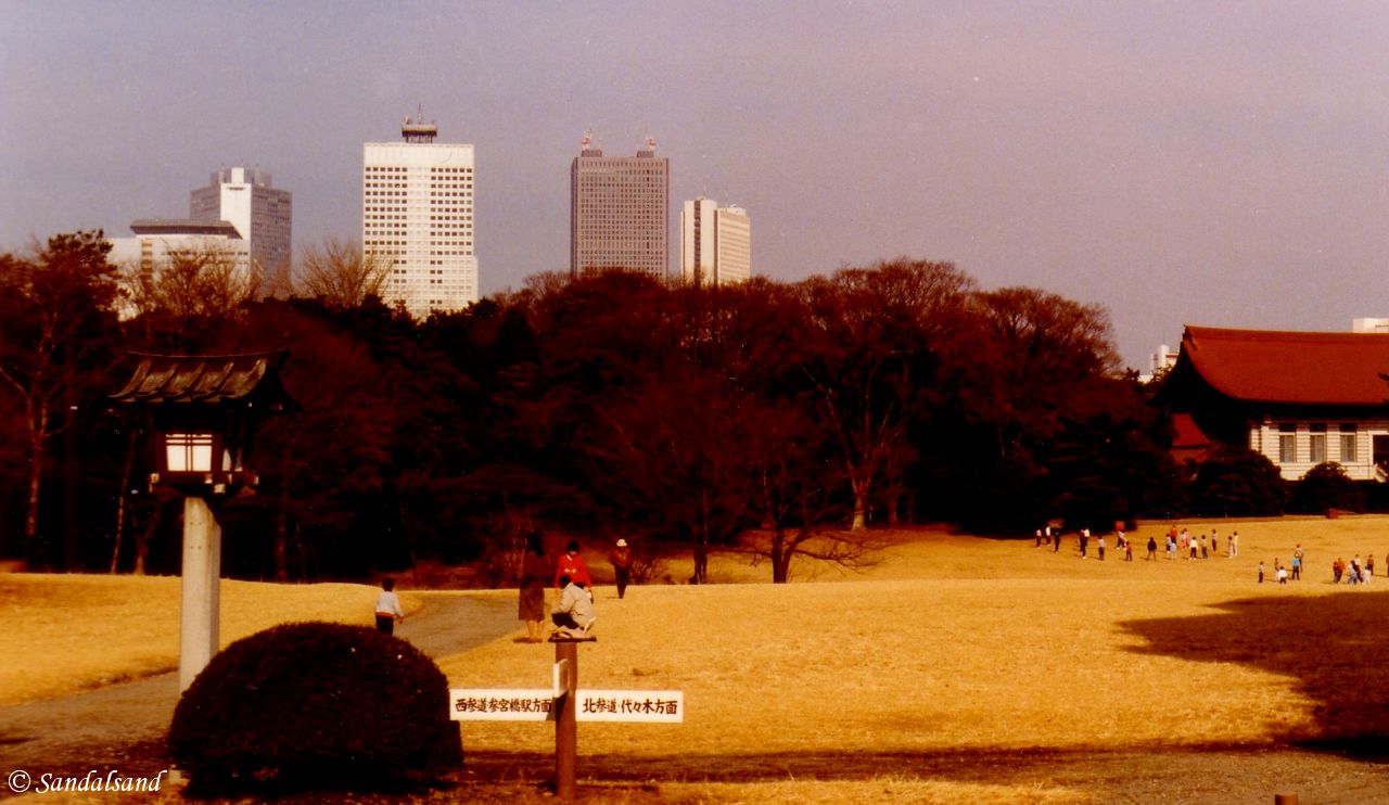 Japan - Tokyo - Yoyogi Park