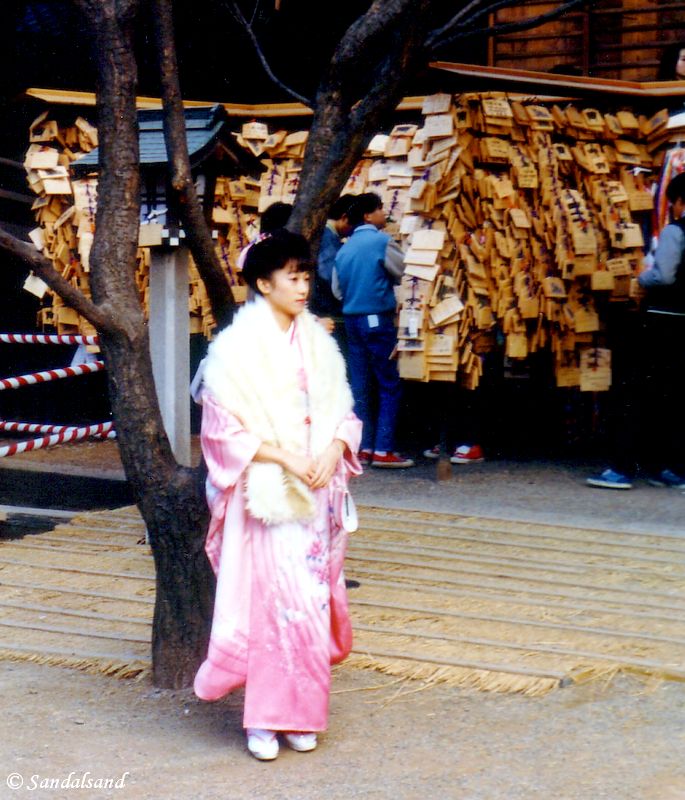 Japan - Tokyo - Ueno Park