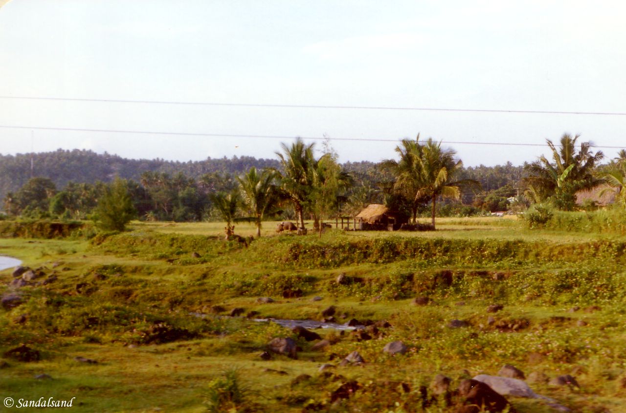 The Philippines - Rural area in Southern Luzon The Philippines - Mayon