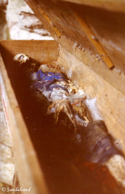 The Philippines - Body in coffin, Sagada - Lumiang Cave The Philippines - Sagada - Lumiang Cave