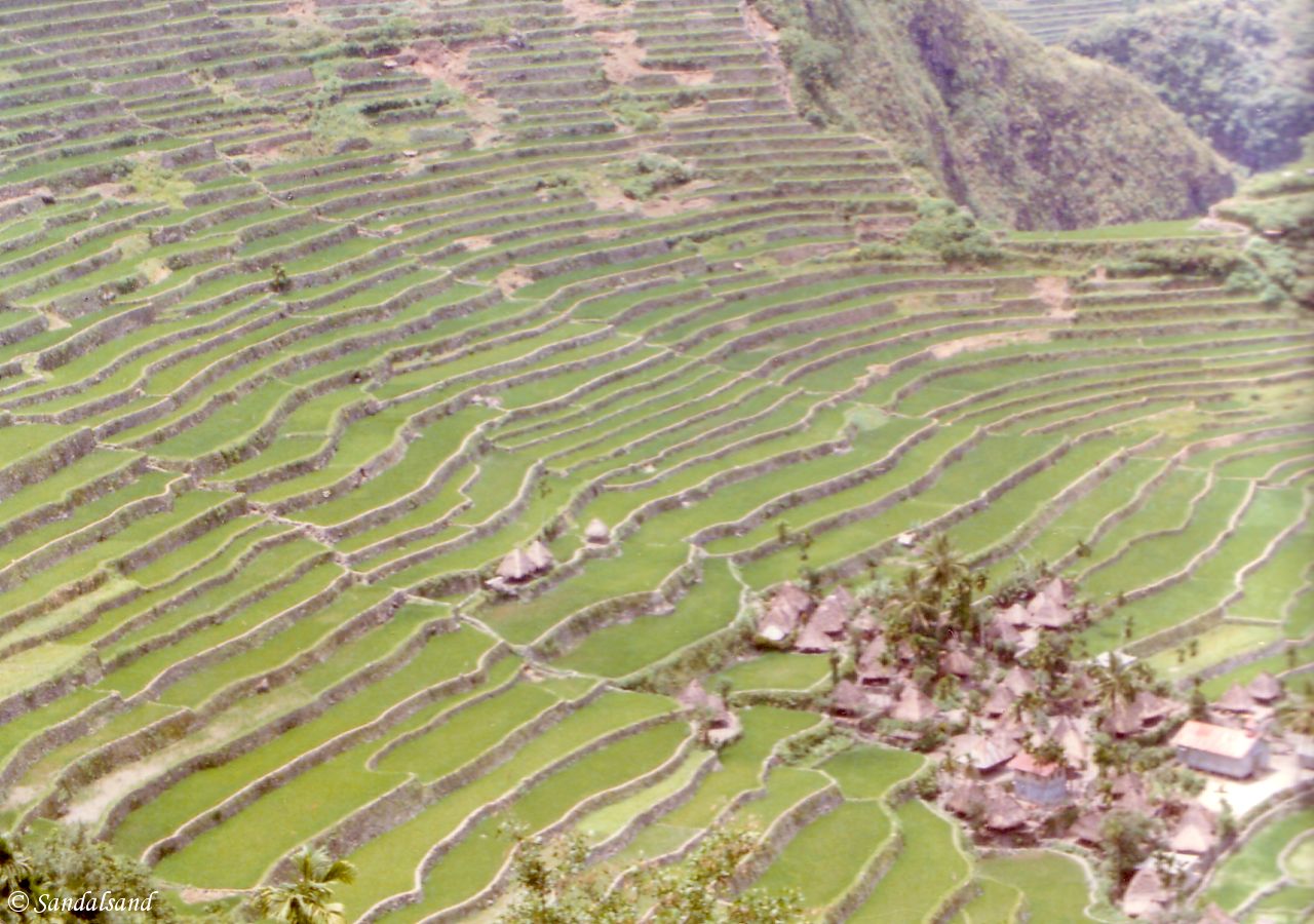 Rice terraces near Banaue, Philippines The Philippines - Banaue