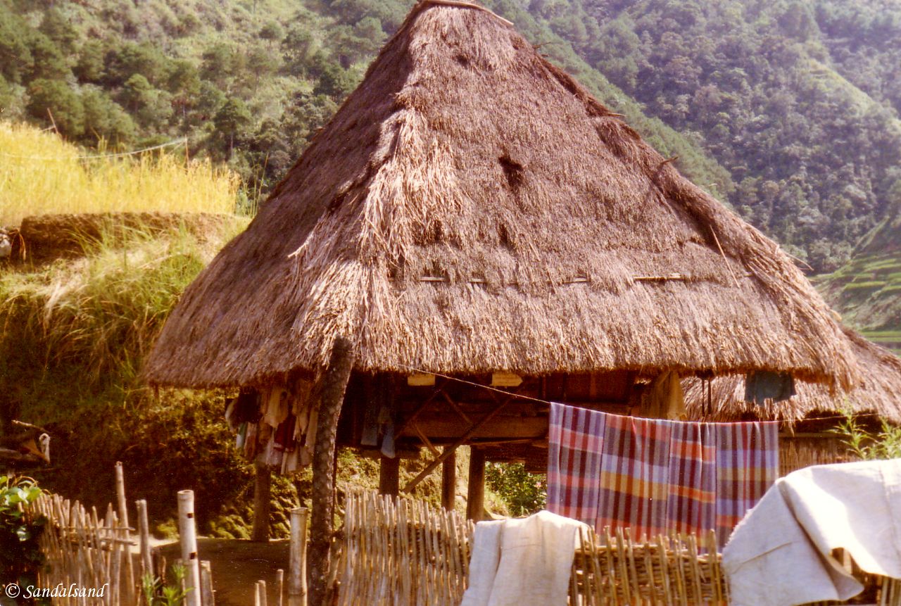 Village cottage on stilts near Banaue, Philippines The Philippines - Banaue