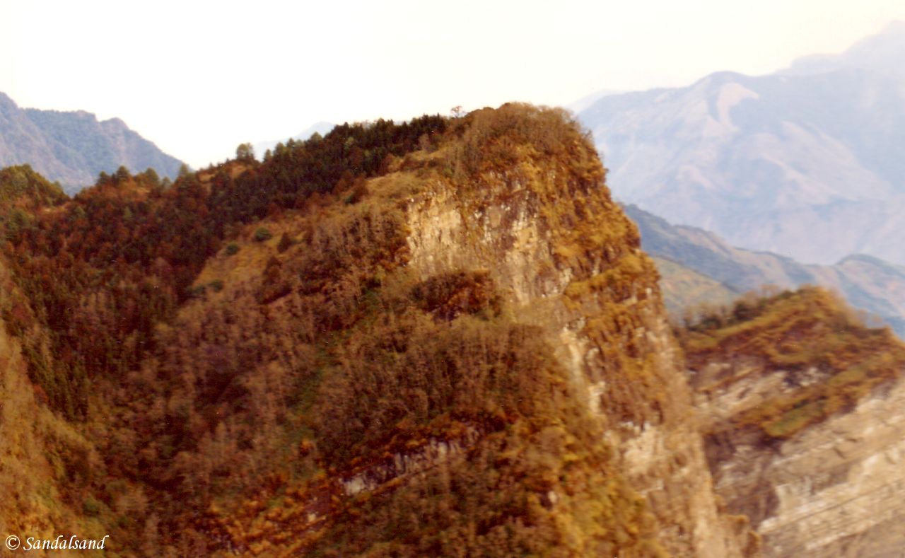 Alishan, Taiwan, 2500 metres above sea level Taiwan - Alishan
