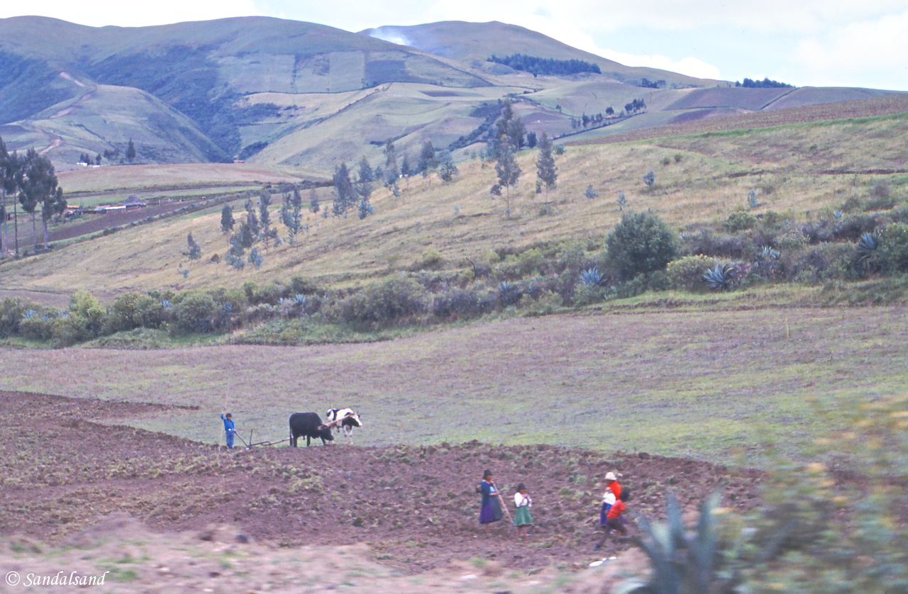 Ecuador - On the way to Otavalo Ecuador - On the way to Otavalo