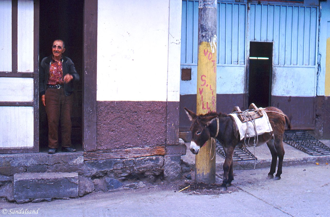 Ecuador - Man and donkey in Baños Ecuador - Man and donkey in Baños