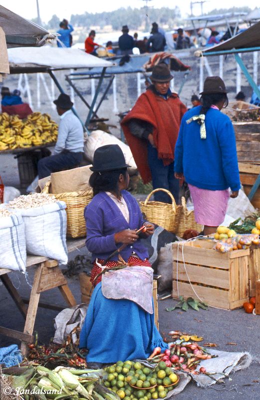 Ecuador - Saquisili - Market day Ecuador - Saquisili - Market day