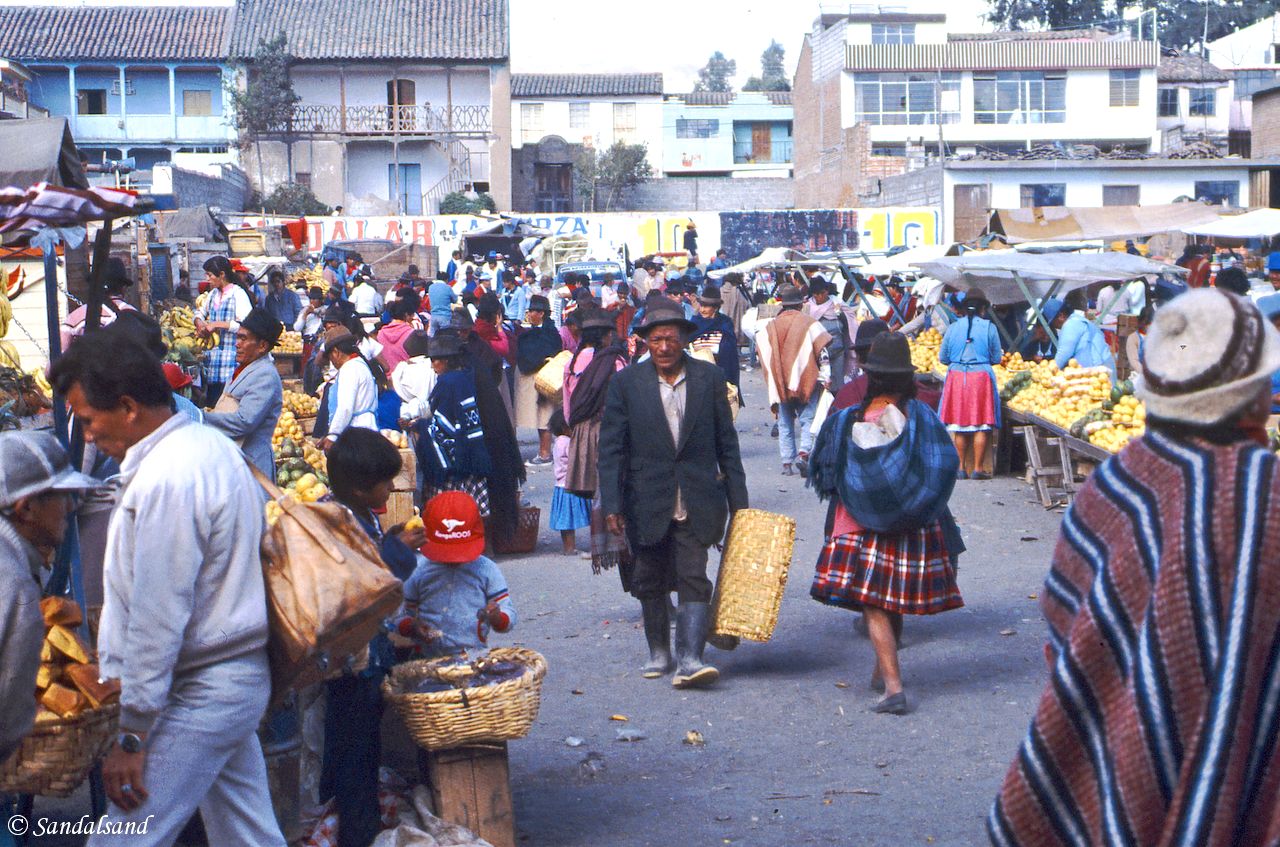 Ecuador - Saquisili - Market day Ecuador - Saquisili - Market day