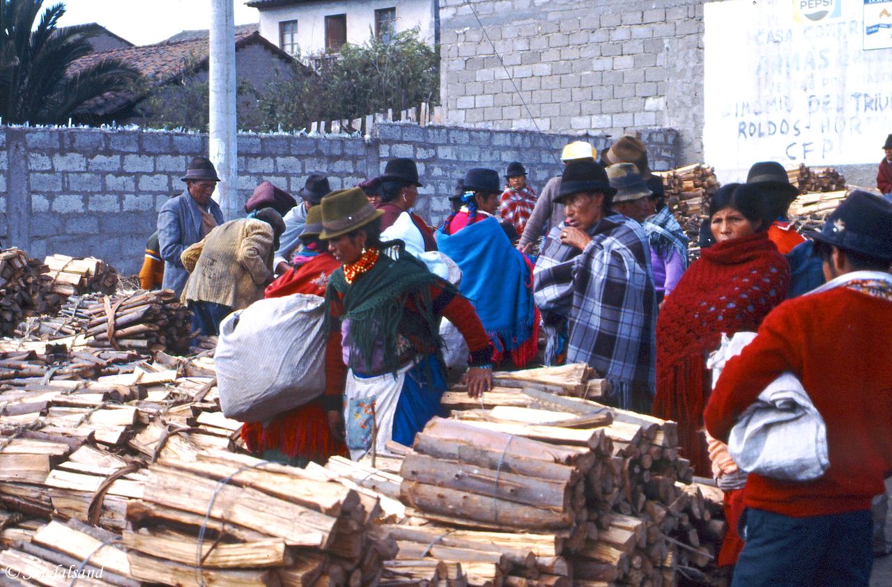 Ecuador - Saquisili - Market day Ecuador - Saquisili - Market day