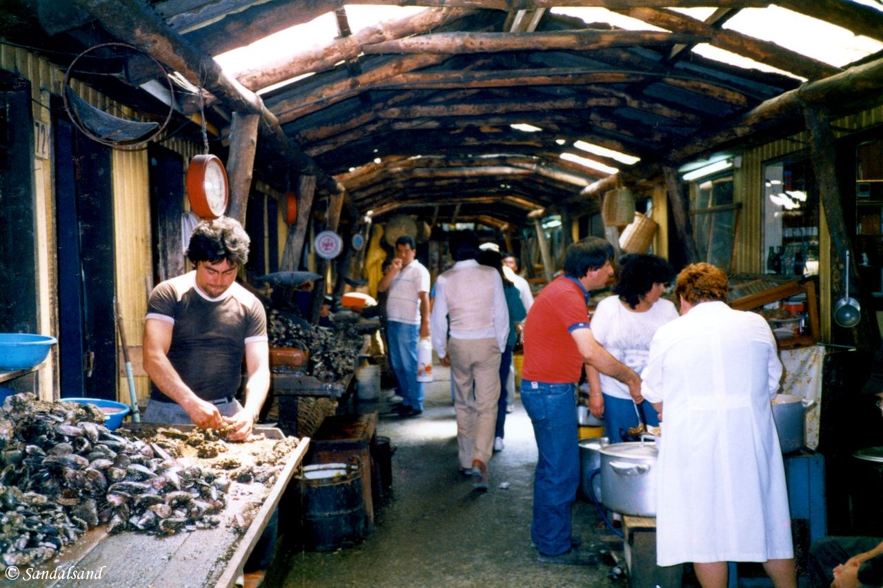 Chile - Puerto Montt - Angelmo fishing port Chile - Puerto Montt - Angelmo fishing port