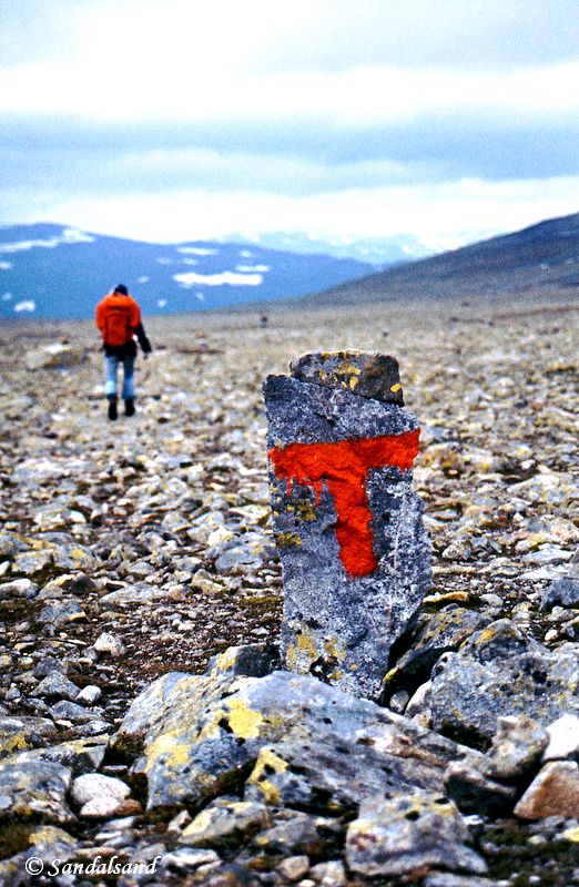 Oppland - Jotunheimen - T på steinørken over Skautflya Oppland - Jotunheimen - T på steinørken over Skautflya