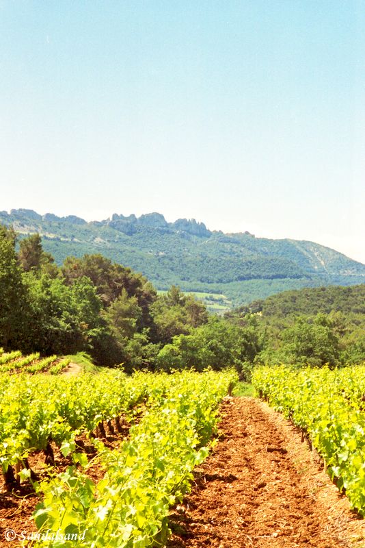 France - Provence - Les Dentelles France - Provence - Les Dentelles