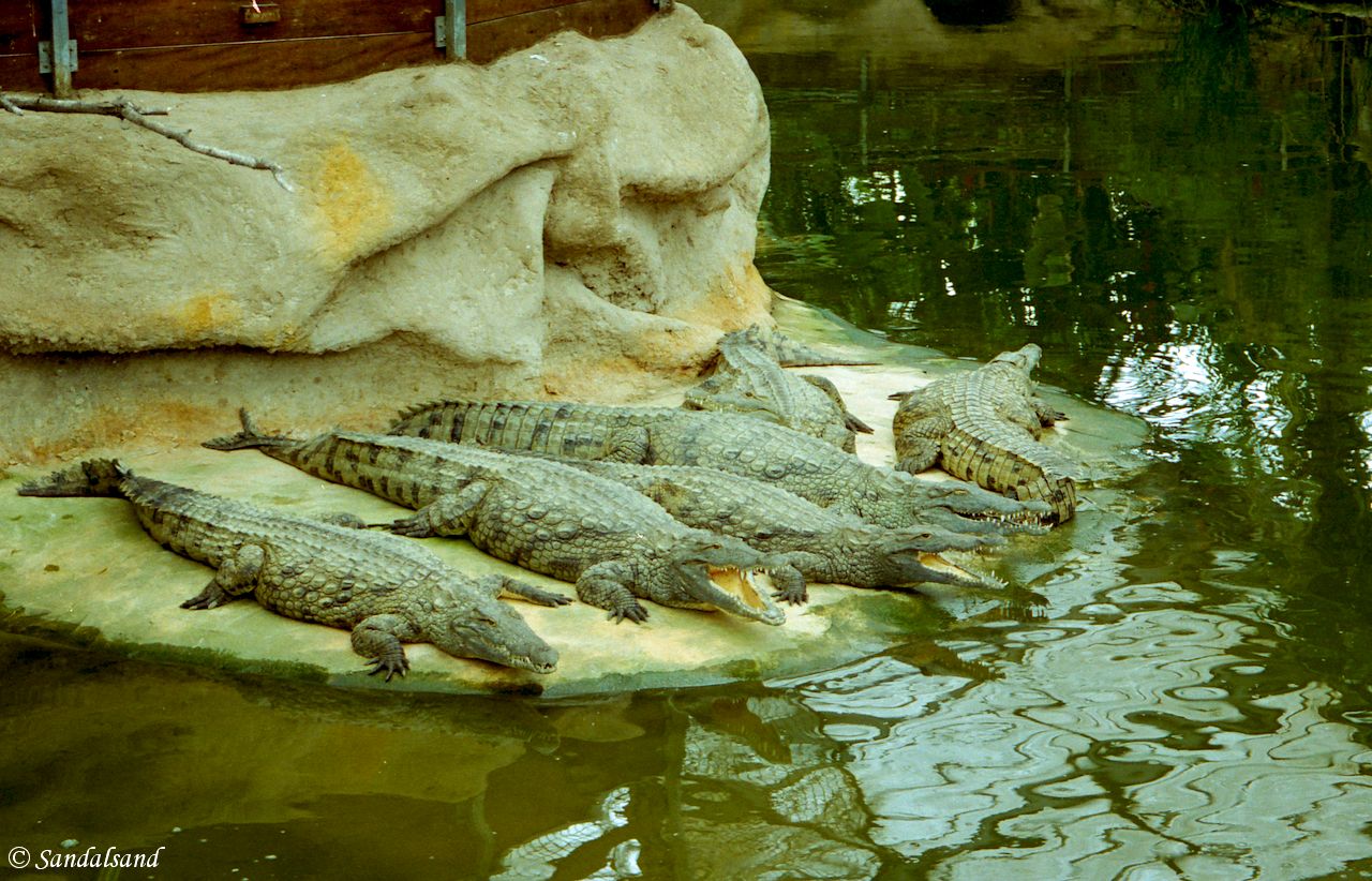 France - Provence - Pierrelatte Crocodile Farm France - Provence - Pierrelatte Crocodile Farm