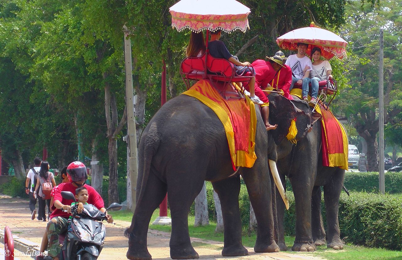 Thailand - Ayutthaya Thailand - Ayutthaya