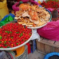 Kathmandu’s Thamel district and the Garden of Dreams