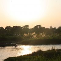 World Heritage #0284 – Chitwan National Park